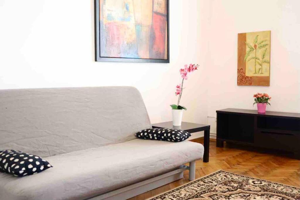 Soltyka 5 Rooms Apartment 克拉科夫 外观 照片